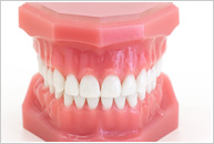 歯の裏側への装置
